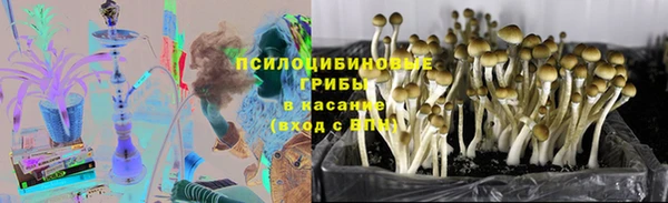 гидра Гусь-Хрустальный