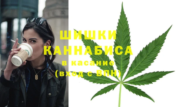 гидра Гусь-Хрустальный