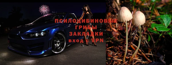 шишки Гусев