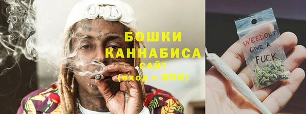 шишки Гусев