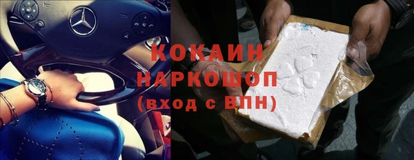 шишки Гусев