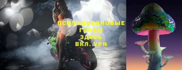 дурь Гусиноозёрск