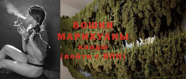 шишки Гусев