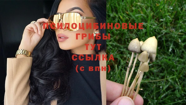 дурь Гусиноозёрск