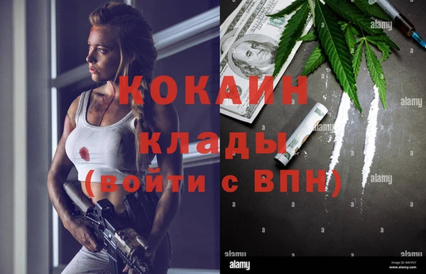 шишки Гусев
