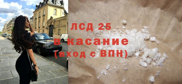 шишки Гусев