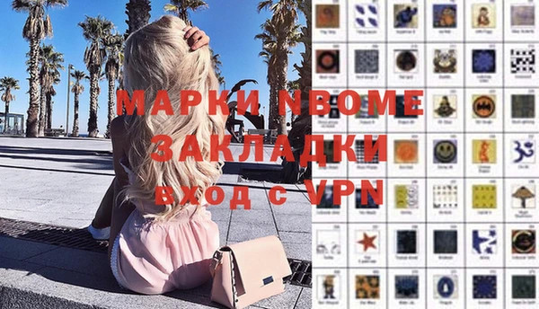 шишки Гусев