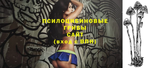 дурь Гусиноозёрск