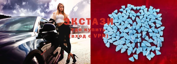шишки Гусев