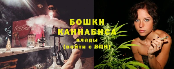 шишки Гусев