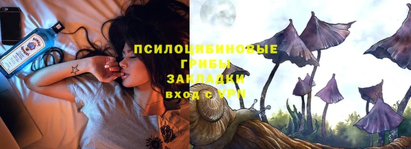 дурь Гусиноозёрск