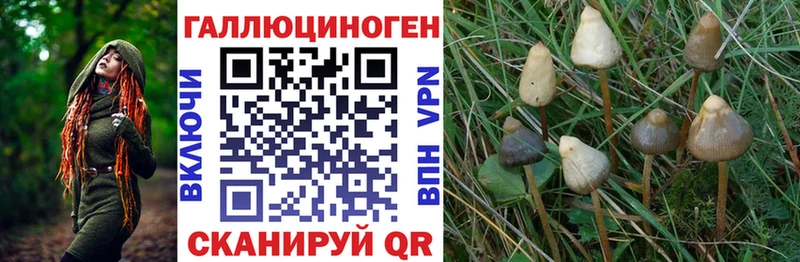 Галлюциногенные грибы Magic Shrooms  Назарово 