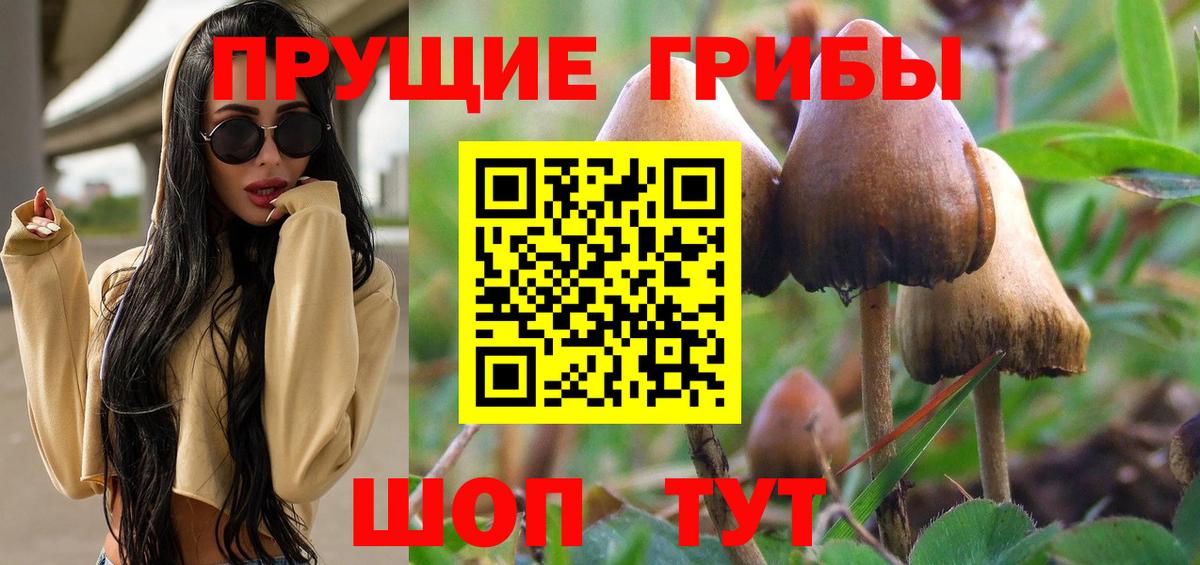 Галлюциногенные грибы Magic Shrooms  Вход с VPN  Галлюциногенные грибы мицелий  где продают наркотики  Назарово 